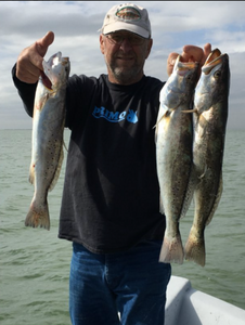 Solid  Sea Trout in Galveston, TX